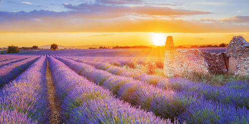 Inredning i Provence-stil