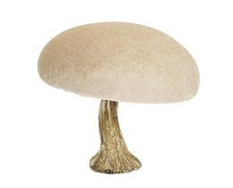 Dekoracja Sammetssvamp 12 cm beige