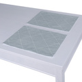 Set of 2 Placemats