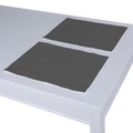 Set of 2 Placemats