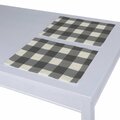 Set of 2 Placemats