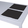 Set of 2 Placemats