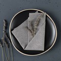 Set napkins 6pcs 42x42cm 174-14