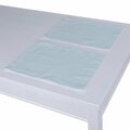 Set of 2 Placemats